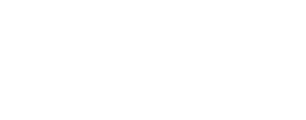 The Logo of vdx sentry